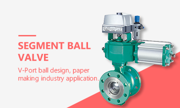  Segment ball valve